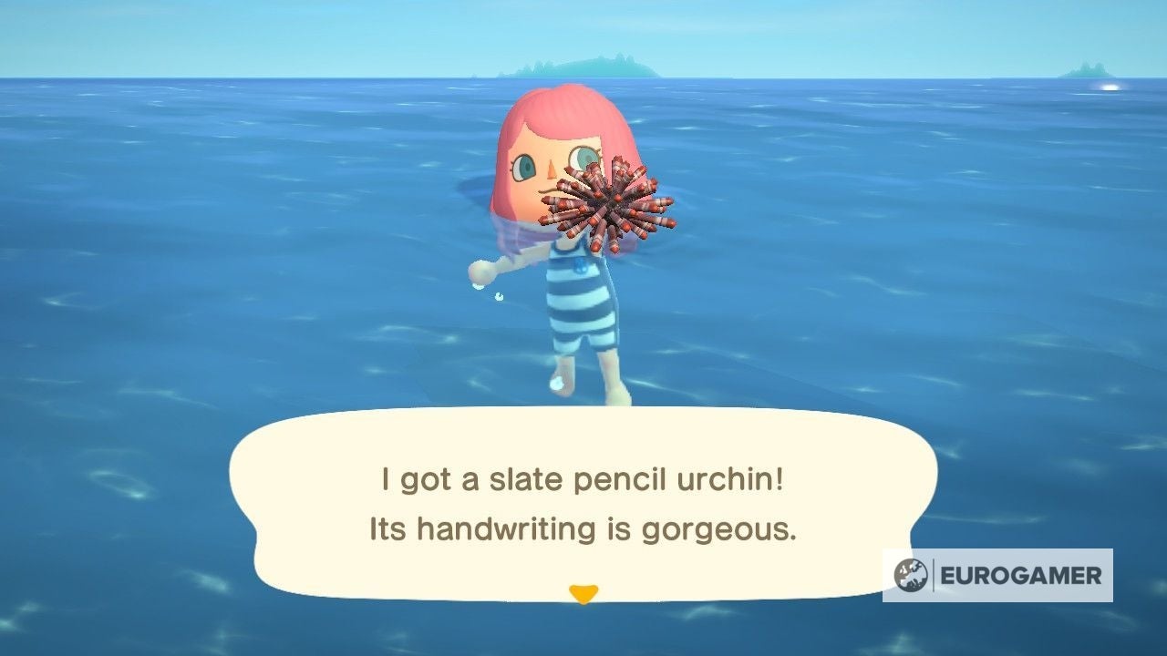 Animal Crossing Swimming How to swim, get a wetsuit and diving in New Horizons explained